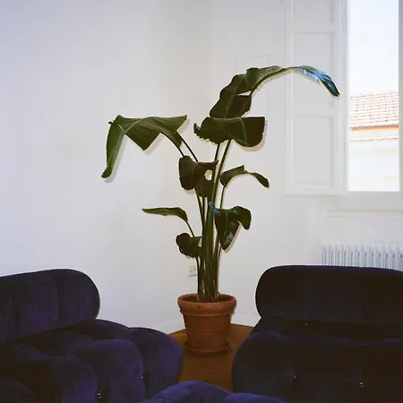 Apartment Les~ones *