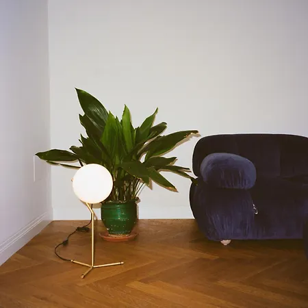 Les~ones * ヴァスト