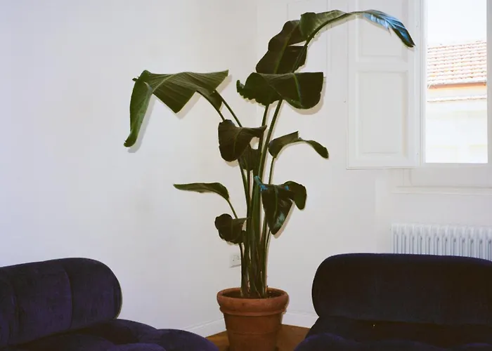 Appartement Les~ones *